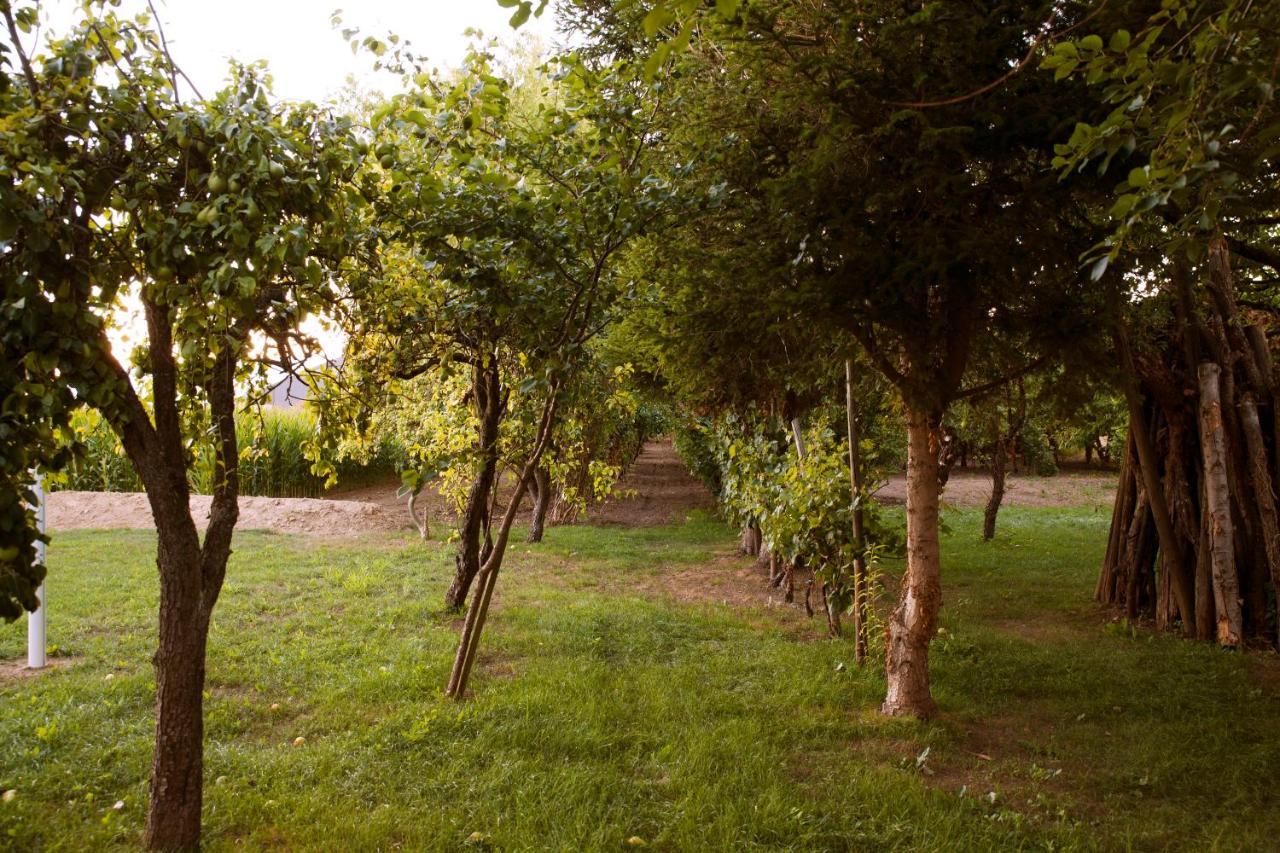 Domaine Des 4Roses -Spa Et Serenite Villa Furdenheim Eksteriør billede