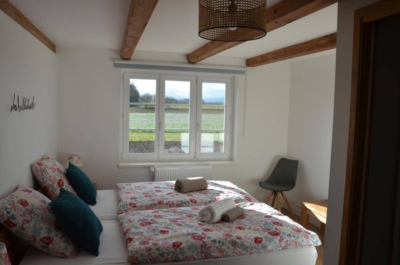 Domaine Des 4Roses -Spa Et Serenite Villa Furdenheim Eksteriør billede